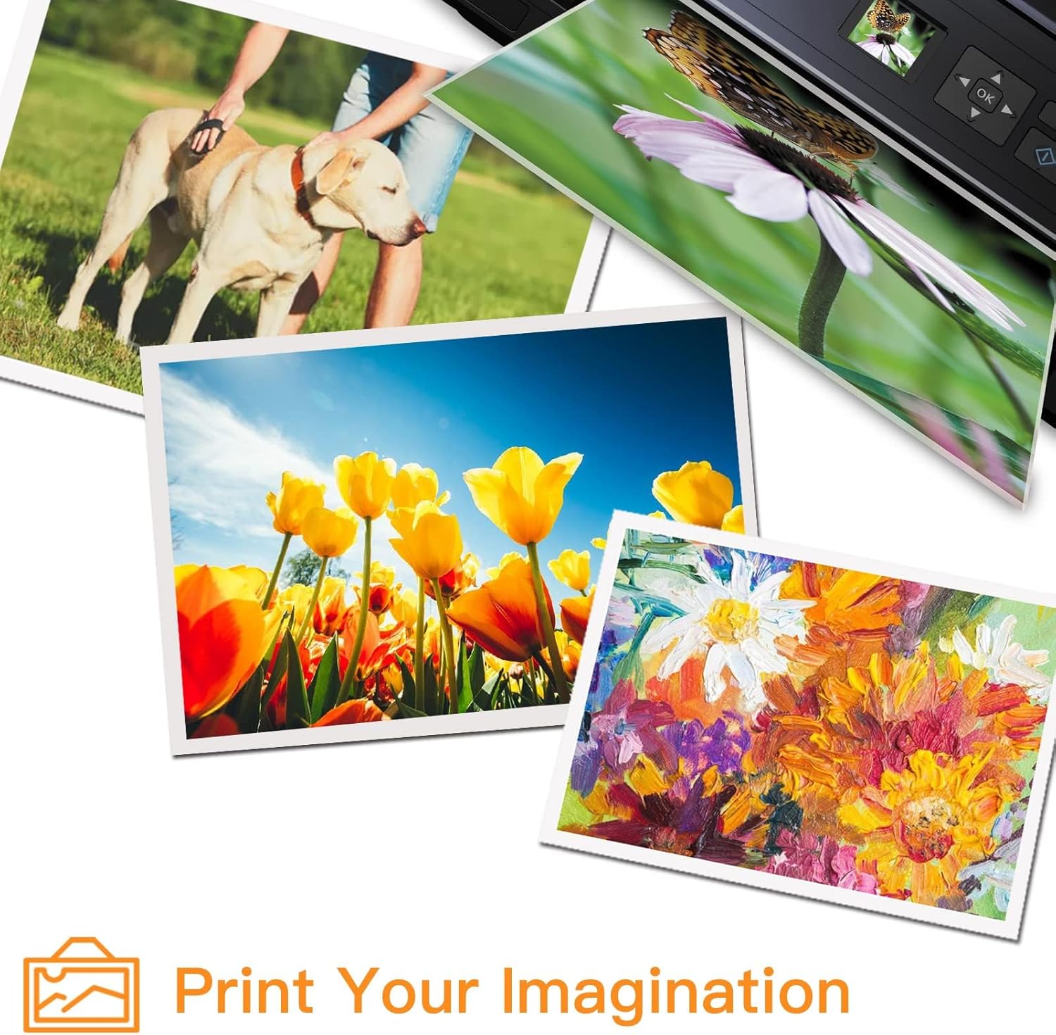 Run Star 6 Pack Remanufactured for T048 Ink Cartridge Replacement for Epson 48 T048 use for Epson Stylus Photo R200 R220 R300 R300M R320 R340 RX500 RX600 RX620 Printer (BK/C/M/Y/LC/LM).