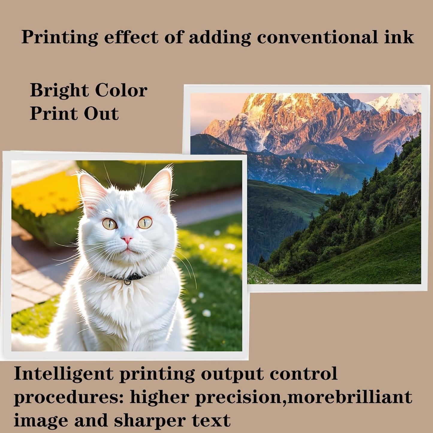 Remanufactured 212XL Refillable Empty Sublimation Ink Cartridges with a Single-use Chip 212XL Workforce Pro XP-4100 XP-4105 WF-2830 WF-2850 Printers Used for Regular Or Sublimation Printing.